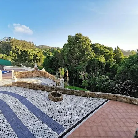 Vitorino Deluxe Sintra