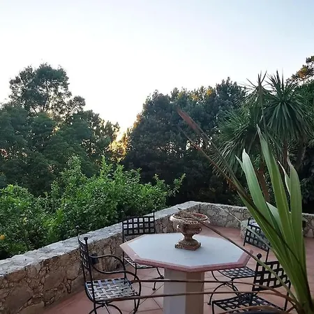 Vitorino Deluxe * Sintra