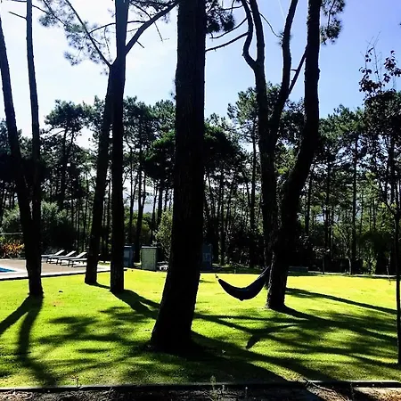 Colares * Sintra
