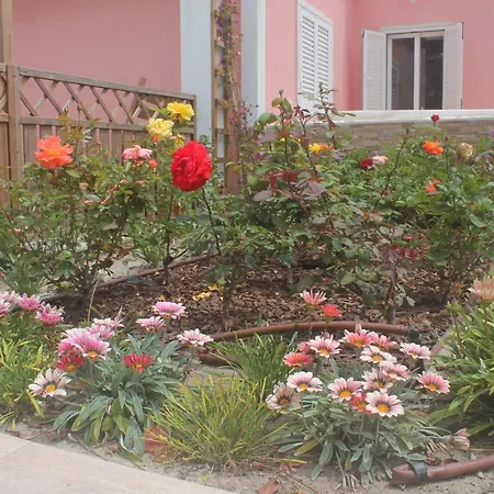 Casa Dos Malmequeres Holiday home