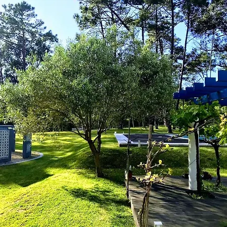 Colares Sintra