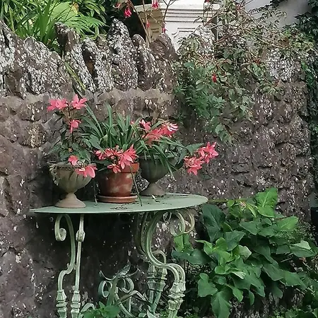 Osborne Homestay