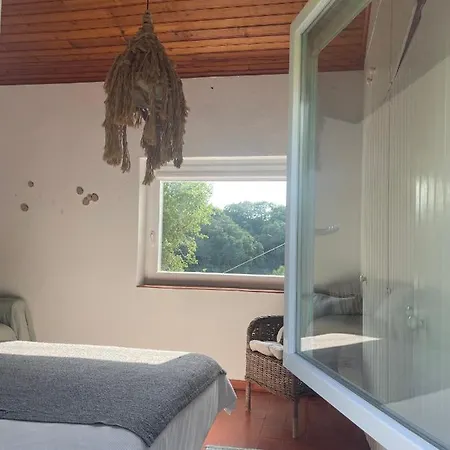 A House In The Woods