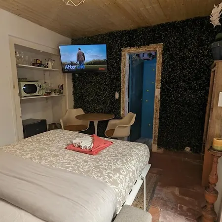 Tiny Smart Home, Private Garden & Outside Jacuzzi. Center Sintra! Sintra