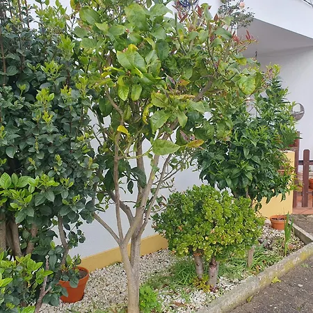 Cintra Homestay Sintra
