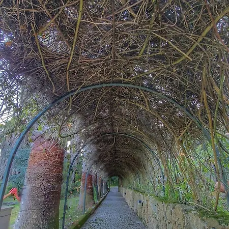 Quinta - Country house *