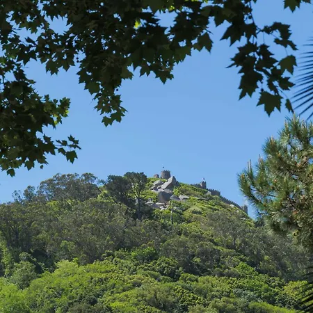 Luxurious Royal Estate In Historic Paradise Villa Sintra