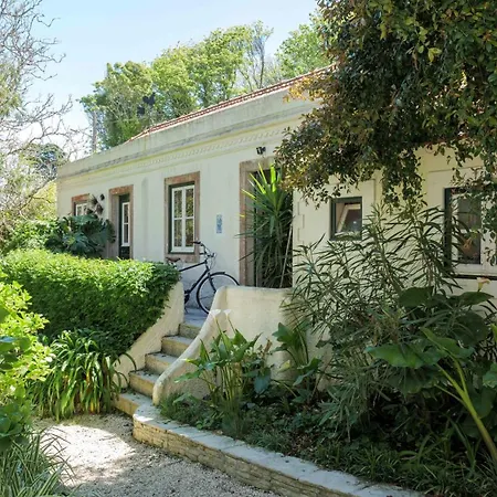 Villa Luxurious Royal Estate In Historic Paradise