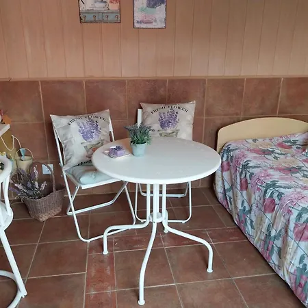Holiday home Casa Dos Malmequeres