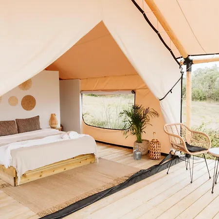 Bed & Breakfast Dreamsea Surf Sintra