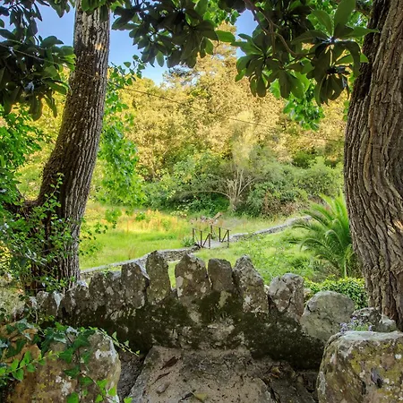 Apartment Unique Sintra
