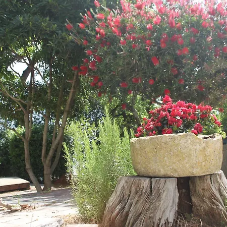 Senhora Da Paz Lisboa Holiday home *
