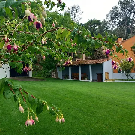 In - Casa Da Penha Ferrim *