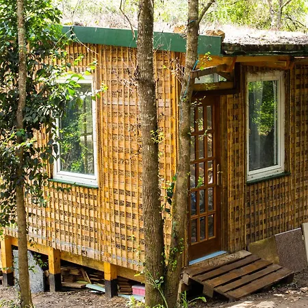 Campsite Secluded Wooden *