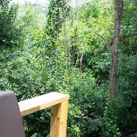 Campsite Secluded Wooden *