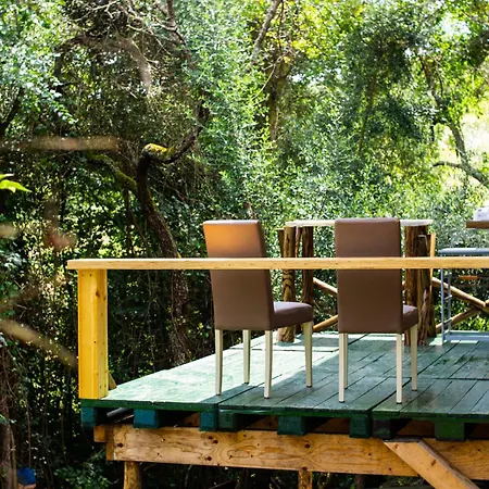 Secluded Wooden Campsite Sintra