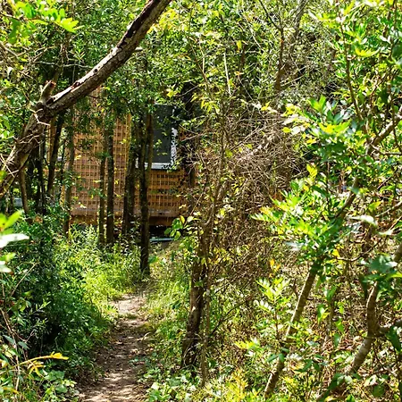 Secluded Wooden Sintra