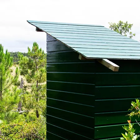Campsite Secluded Wooden *