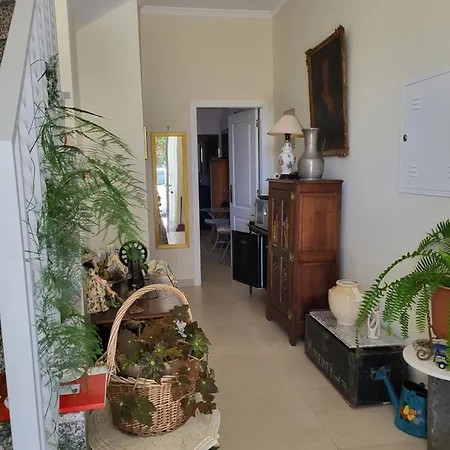 Lousa Homestay