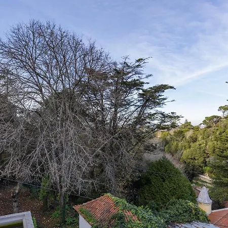 Bed & Breakfast Giant Smart Room, Hot Tub, Ps5, In Historical Center Inside 17th Century Palace - Wow Sintra