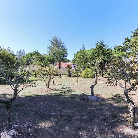 Portucale ! Retreat With Pool *