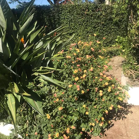 Garden Paradise With Pool For 4 Holiday home Sintra