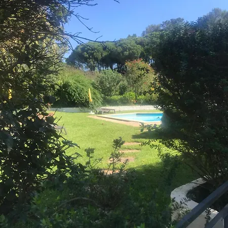 Garden Paradise With Pool For 4