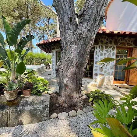 The Mill - Holiday home