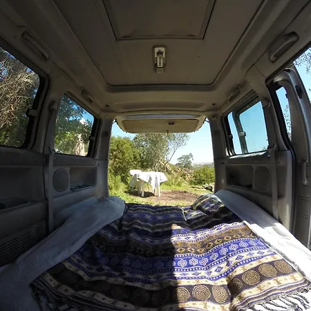 Secluded Wooden Campsite *