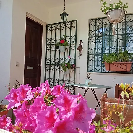 Homestay Cintra *