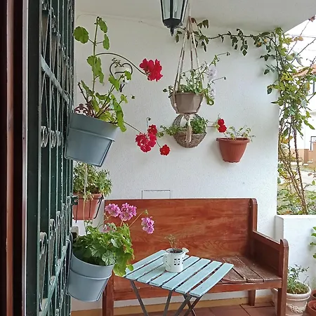Cintra Homestay *