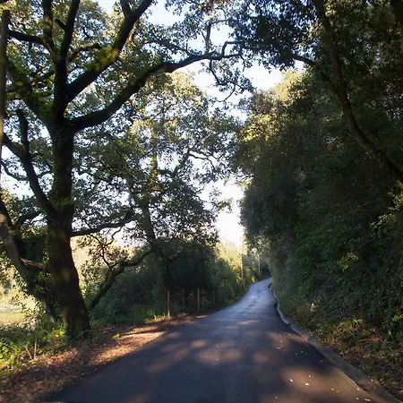 Guest house Quinta De Sao Tadeu 4*