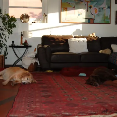 Homestay Isa's