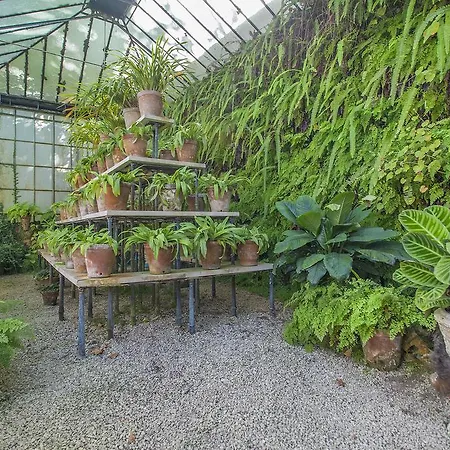 The Romantic Suites & Garden (adults Only) 3*