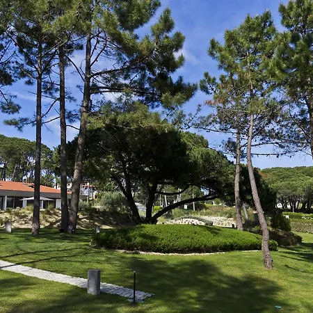 Monte Serves Sintra