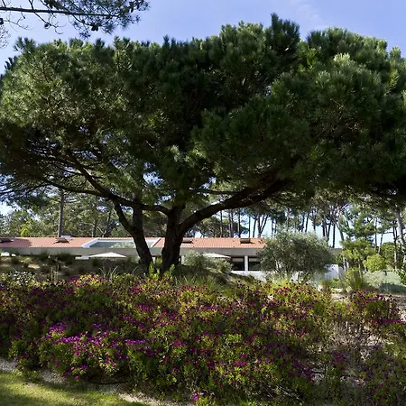 Villa Monte Serves Sintra