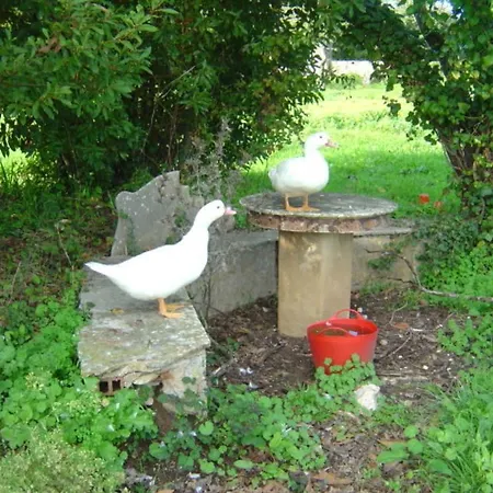 Quinta Do Scoto Bed & Breakfast Sintra