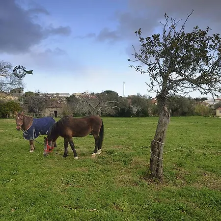 Quinta Do Scoto 4* Sintra