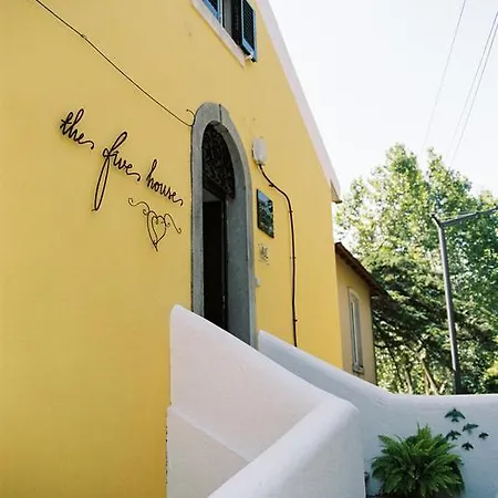 Guest house The Five House 3*