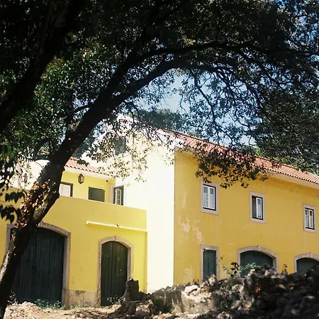 The Five House Sintra