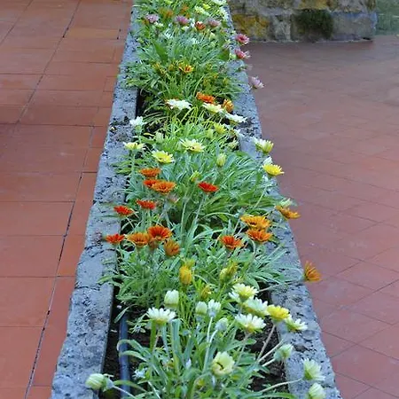 Quinta Dos Lagos - Al Guest house