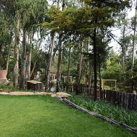Quinta Dos Lagos - Al