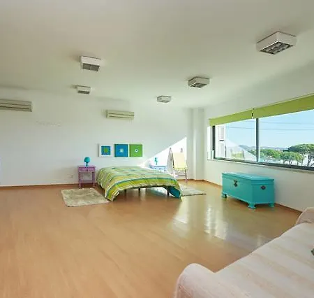 Apartment Colors Loft *