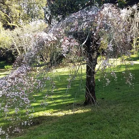 The Romantic Suites & Garden (adults Only) Sintra