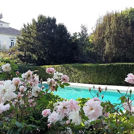 The Romantic Suites & Garden (adults Only) Sintra