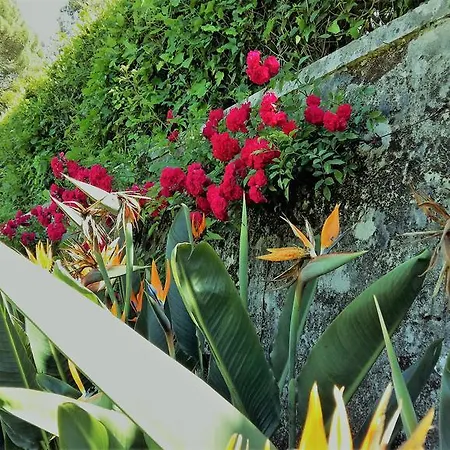 The Romantic Suites & Garden (adults Only) Casa de hóspedes 3*