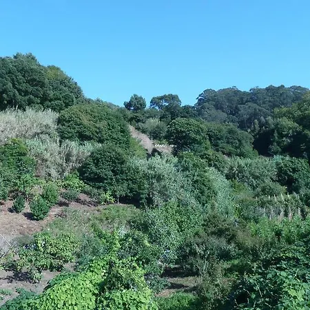 Ribeira Dos Marinheiros Azul Sintra