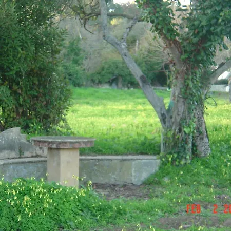 Quinta Do Scoto 4*
