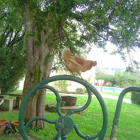 Quinta Do Scoto Bed & Breakfast Sintra