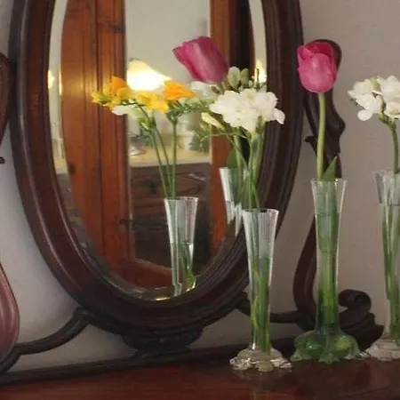 Bed & Breakfast Acucena Vintage 3*